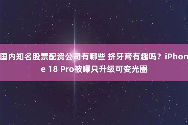 国内知名股票配资公司有哪些 挤牙膏有趣吗？iPhone 18 Pro被曝只升级可变光圈